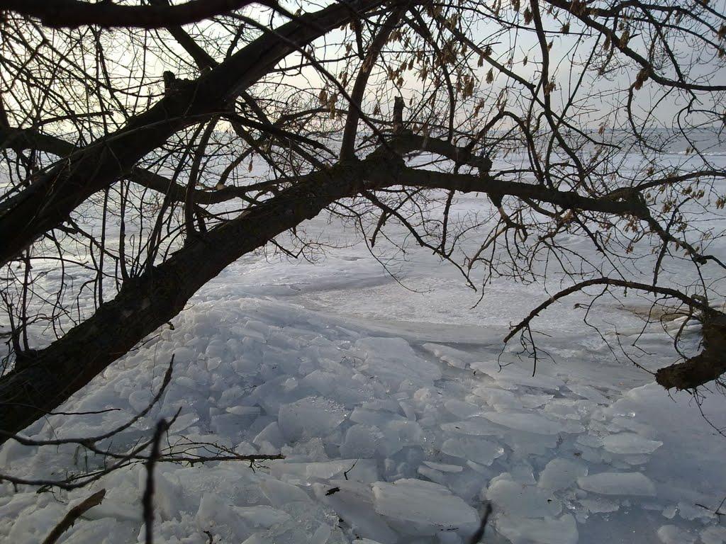Трахтемирів з panoramio.com - Trakhtemyriv