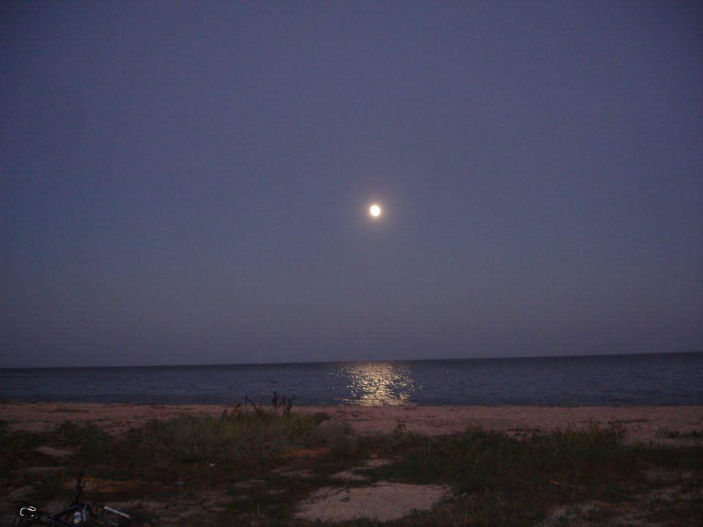 Солончаки з panoramio.com - Солончаки