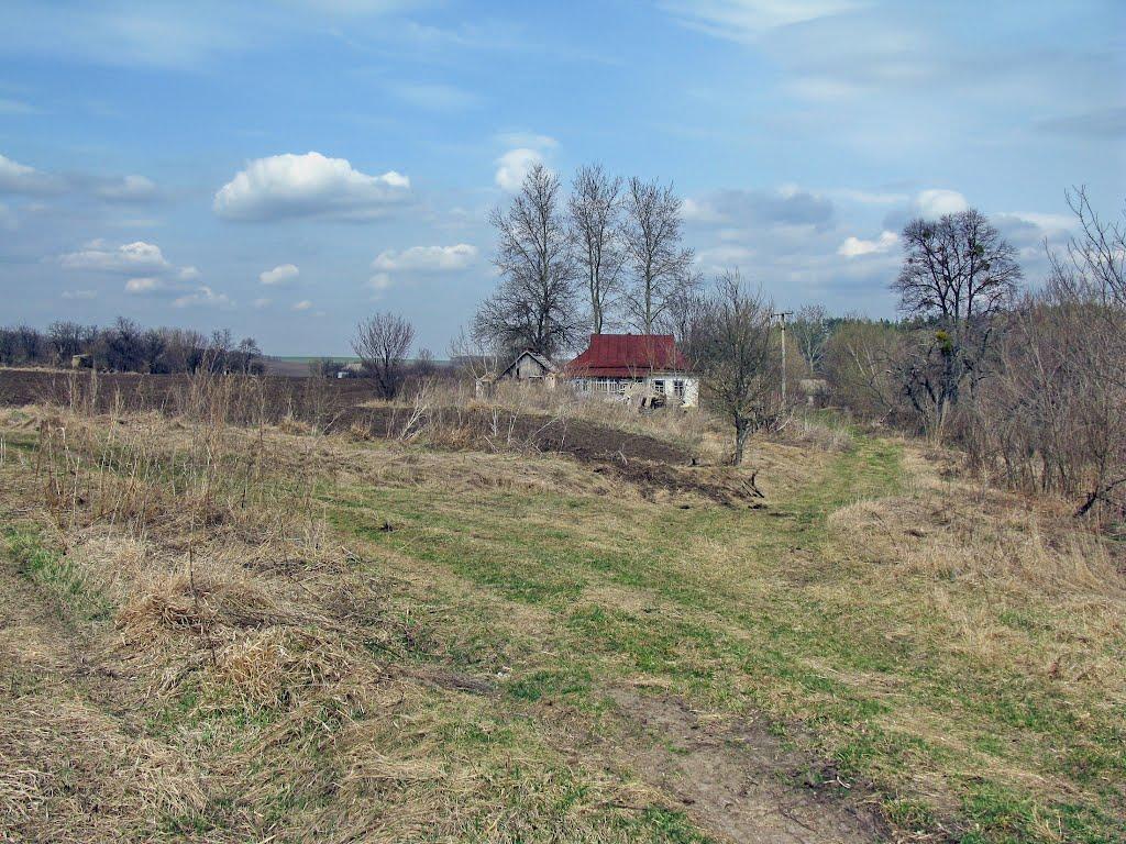Тимошівка з panoramio.com - Тимошівка
