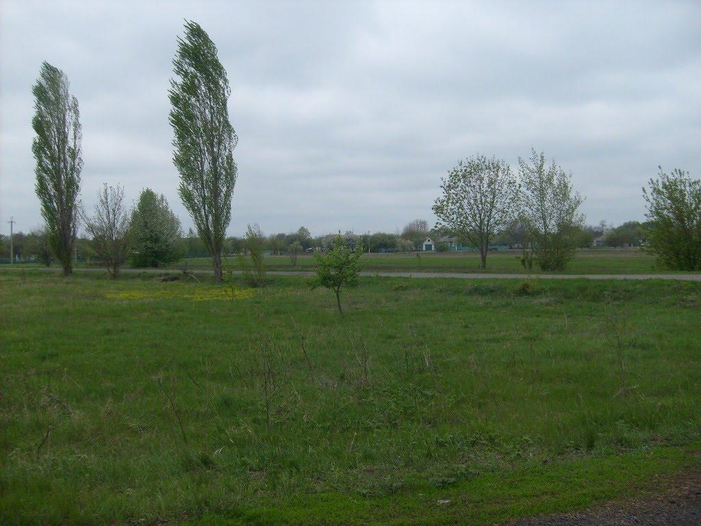 Каплинці з panoramio.com - Каплинці