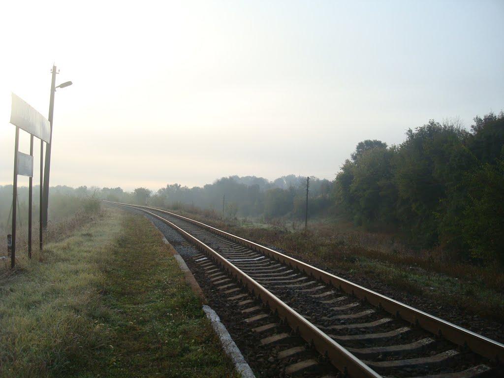 Лісогірка з panoramio.com - Лесогорка
