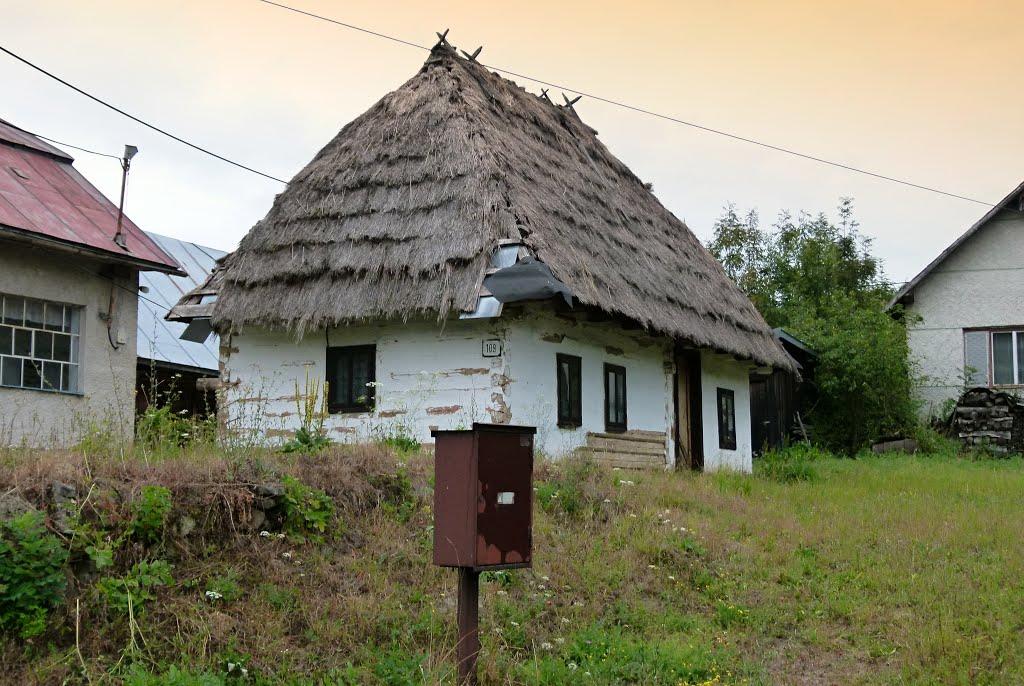 Княгиня з panoramio.com - Knyagynya