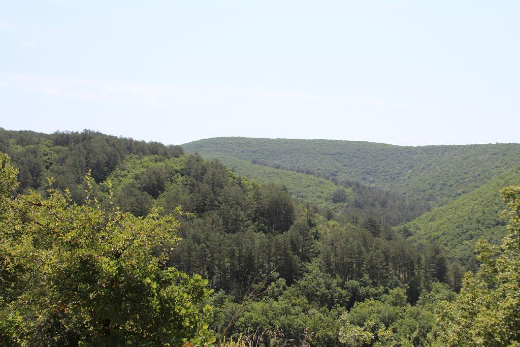 Кудрине з panoramio.com - Кудрино