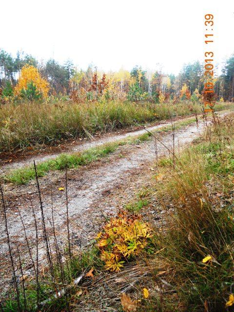 Бондарня з panoramio.com - Бондарня