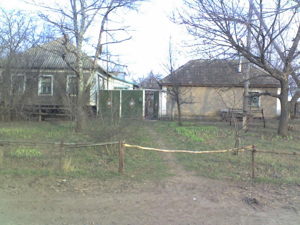 Велика Чернігівка з panoramio.com - Велика Чернігівка