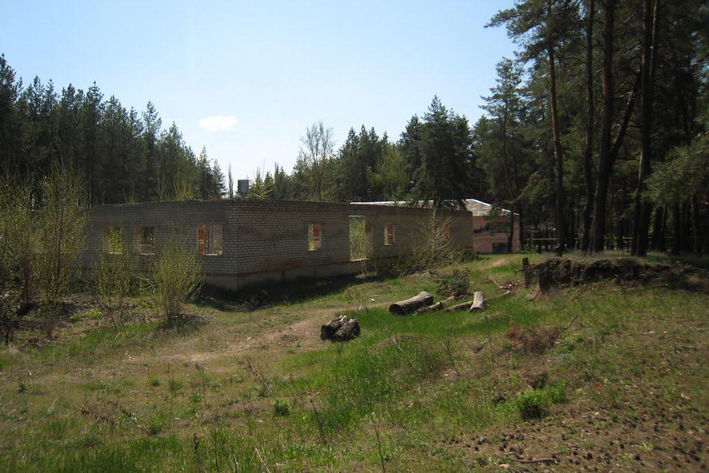 Новопсков з panoramio.com - Novopskov