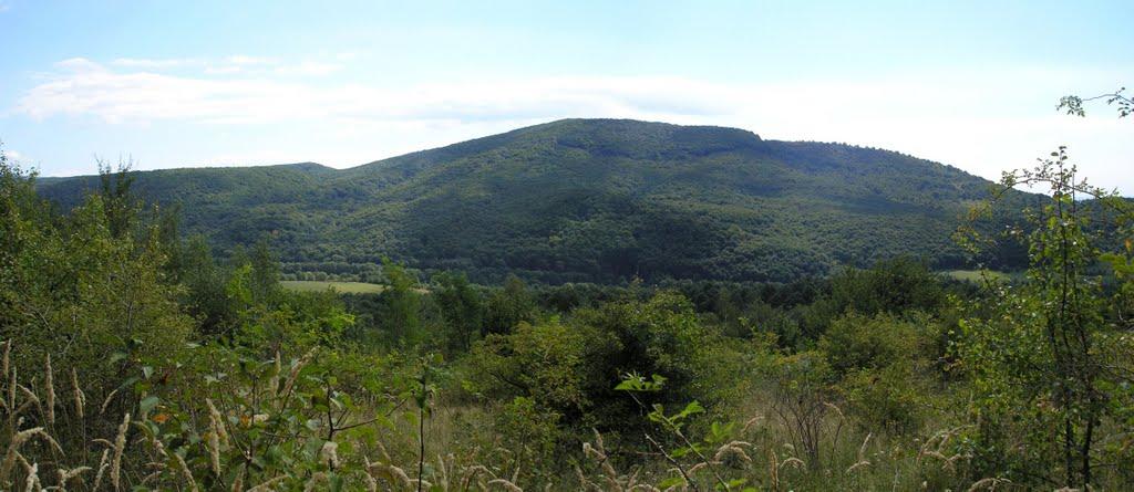Анталовці з panoramio.com - Анталовцы