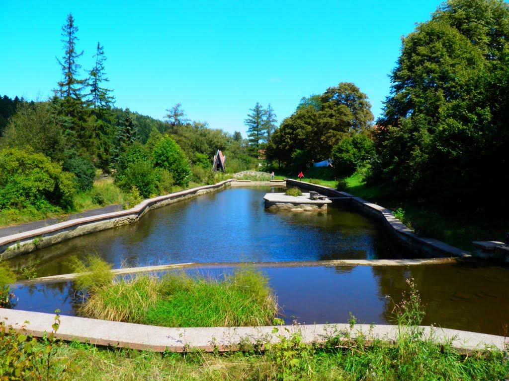 Новий Мізунь з panoramio.com - Новий Мізунь