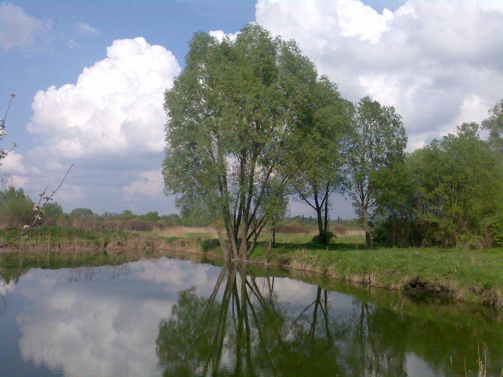 Мала Дівиця з panoramio.com - Мала Дівиця