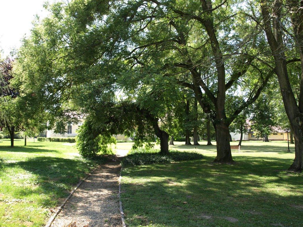 Астей з panoramio.com - Астей