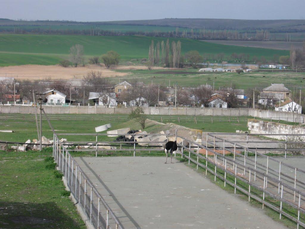 Денисівка з panoramio.com - Денисівка