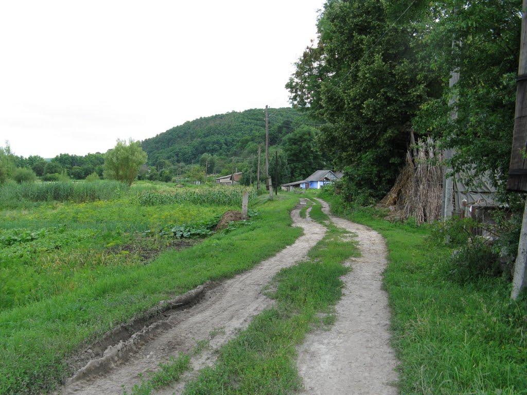 Миньківці з panoramio.com - Миньківці