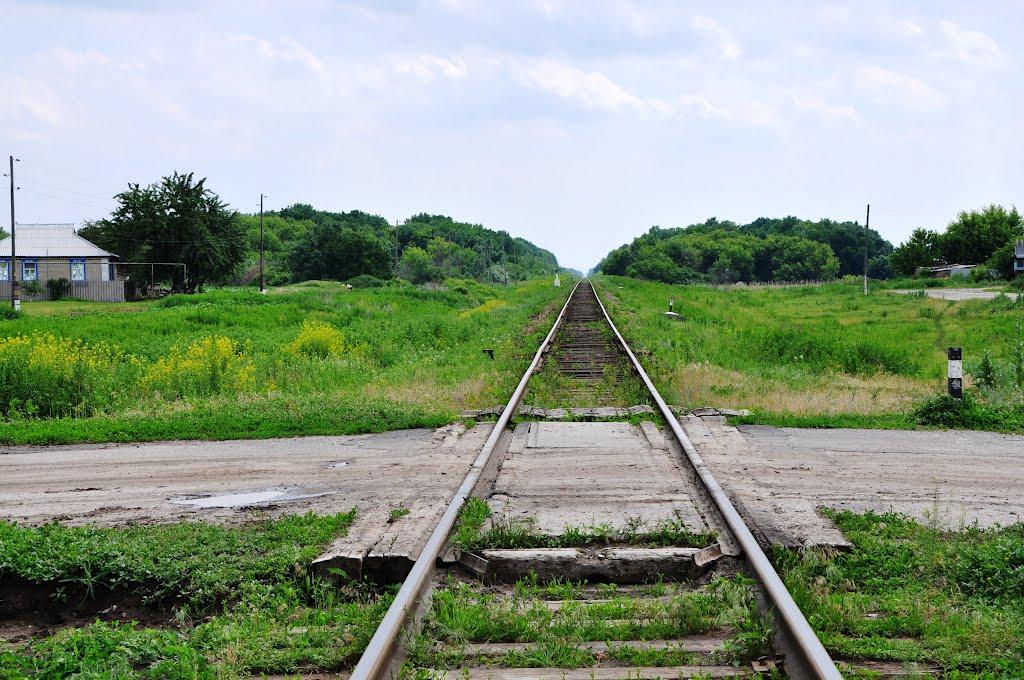 Половинкине з panoramio.com - Половинкине