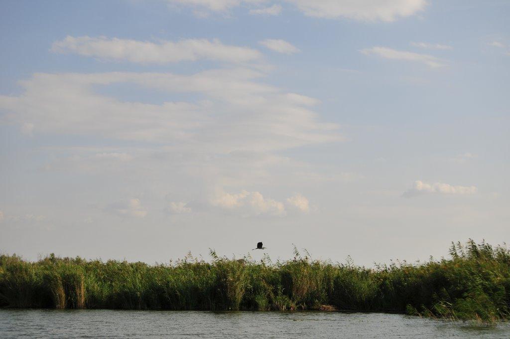 Забарине з panoramio.com - Zabaryne