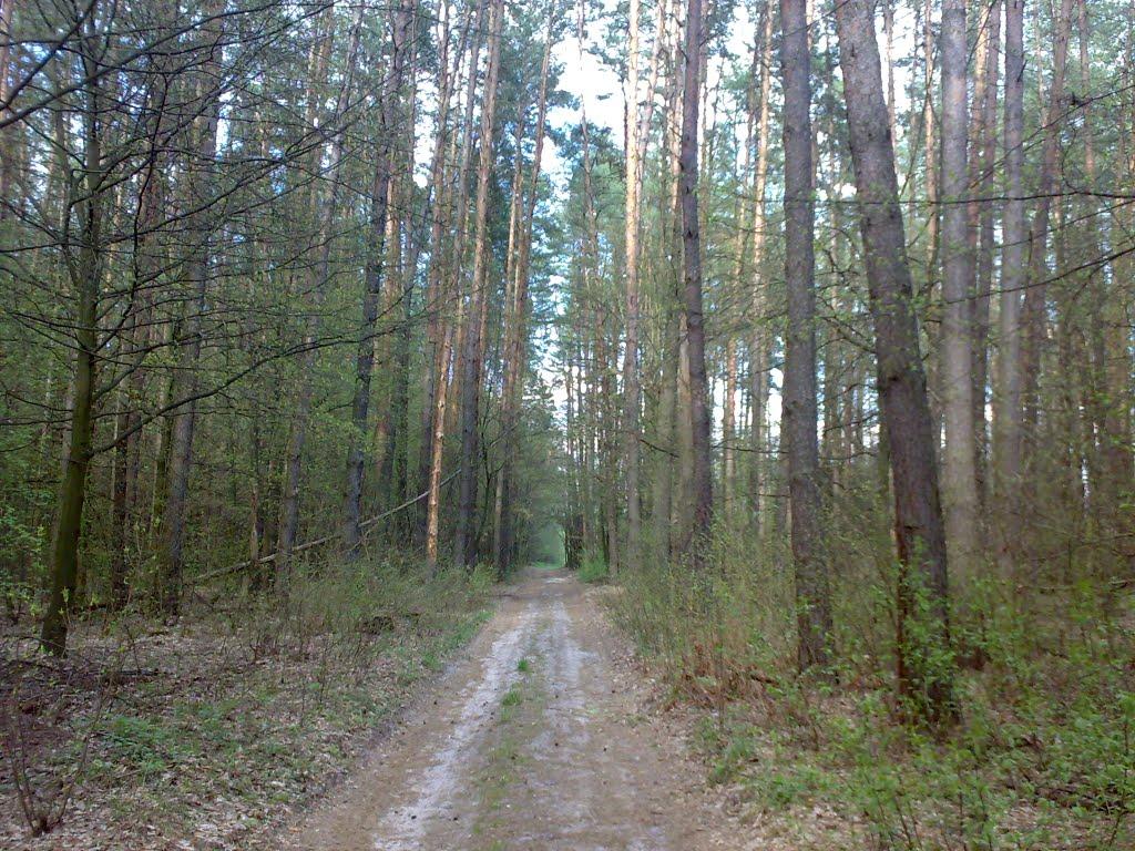 Діброво-Ленінське з panoramio.com - Дубраво-Ленинское