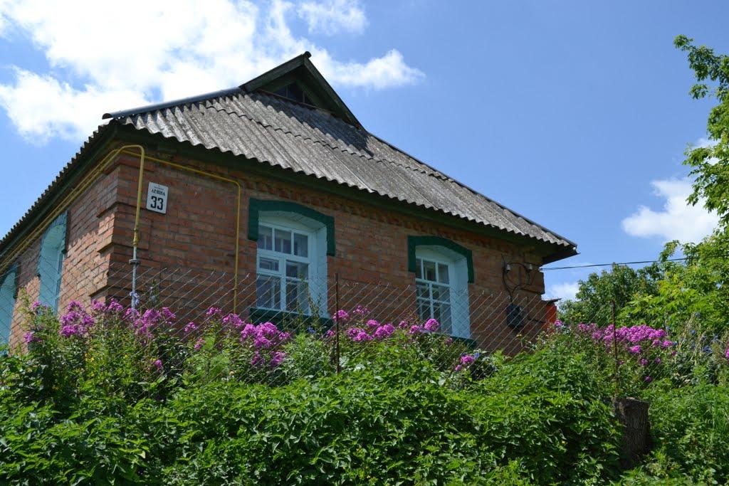 Красне з panoramio.com - Махнівка