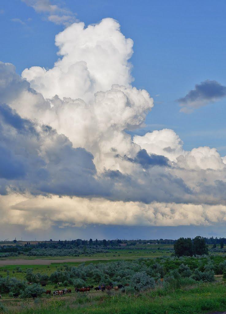 Набережне з panoramio.com - Набережное