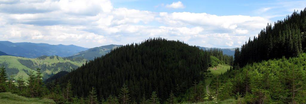 Берестечко з panoramio.com (ч.2) - Berestechko