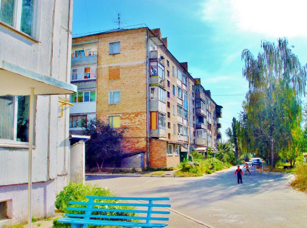 Димер з panoramio.com - Dymer