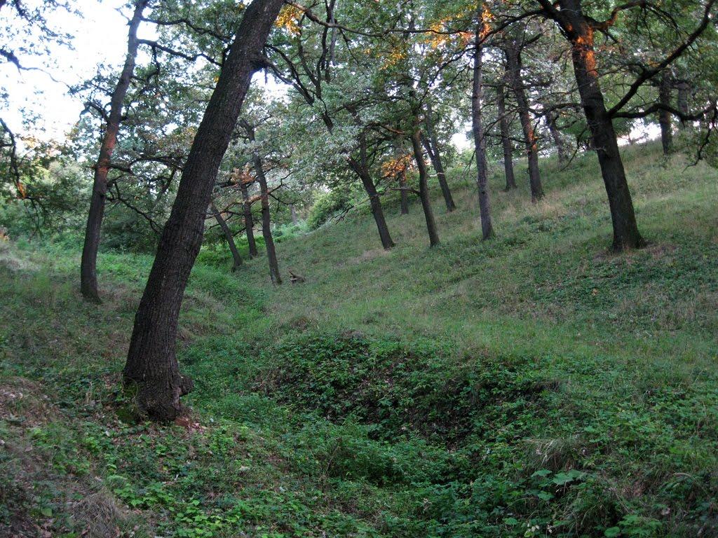 Попасна з panoramio.com - Popasna