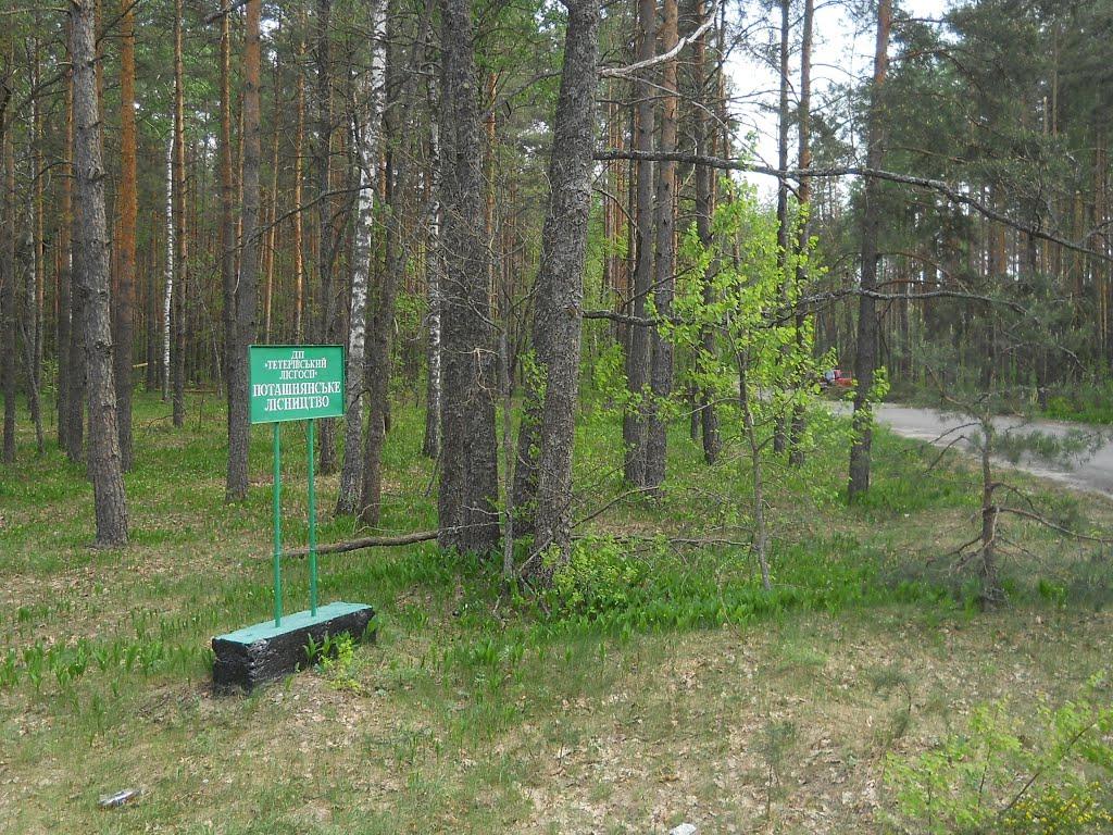 Бондарня з panoramio.com - Бондарня