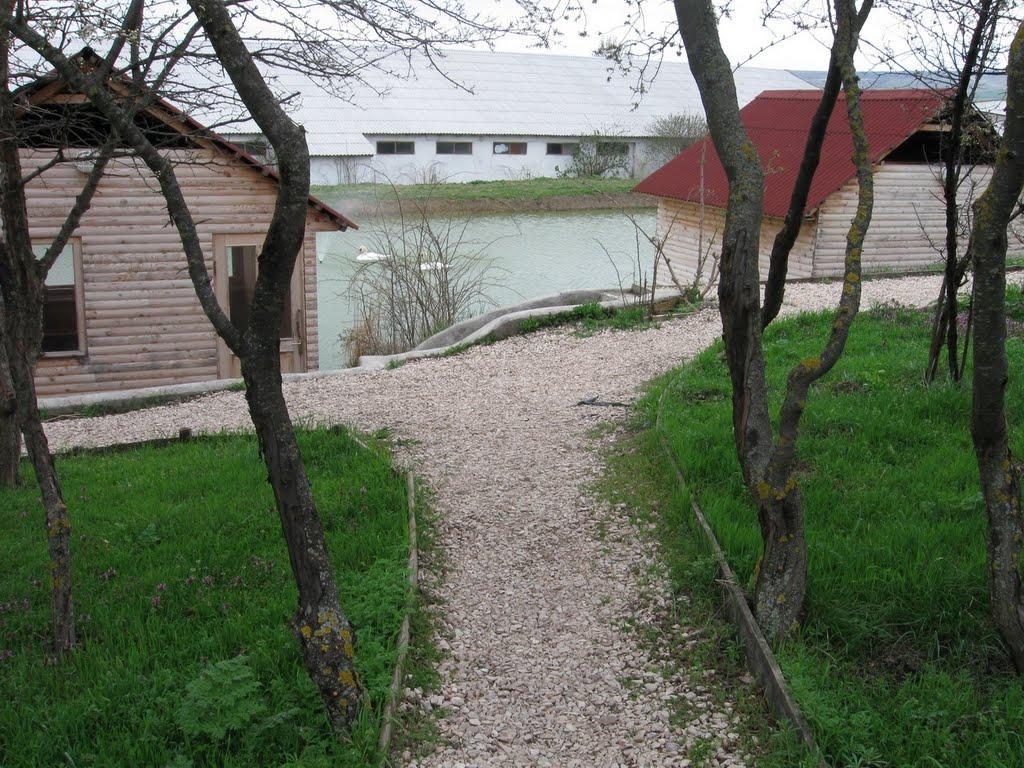 Денисівка з panoramio.com - Денисівка