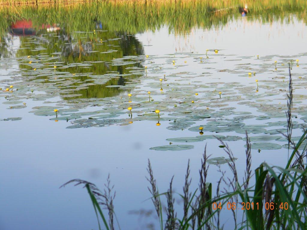 Ставчани з panoramio.com - Stavchany