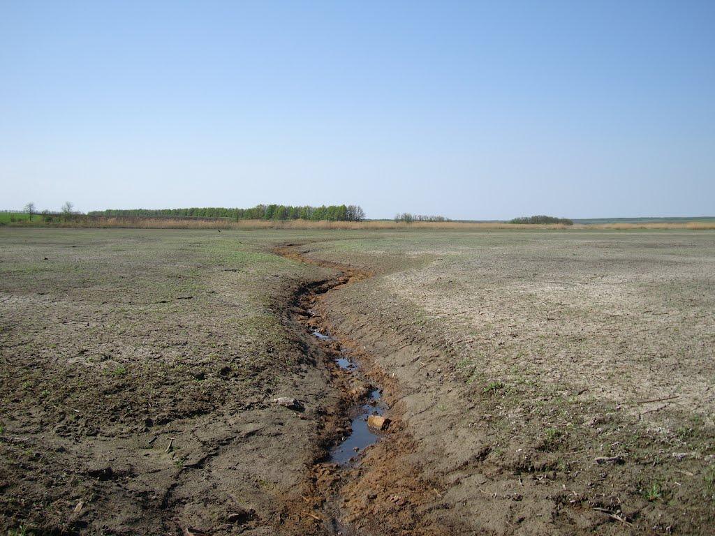 Веселоіванівське з panoramio.com - Веселоіванівське