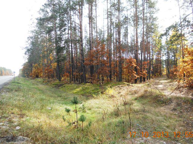 Бондарня з panoramio.com - Бондарня