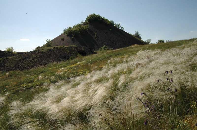 Вахрушеве з panoramio.com - Вахрушеве