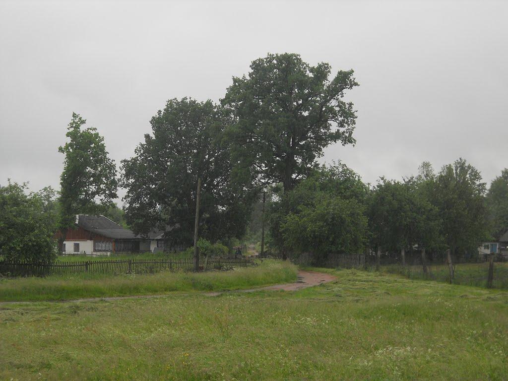 Горщик з panoramio.com - Горщик