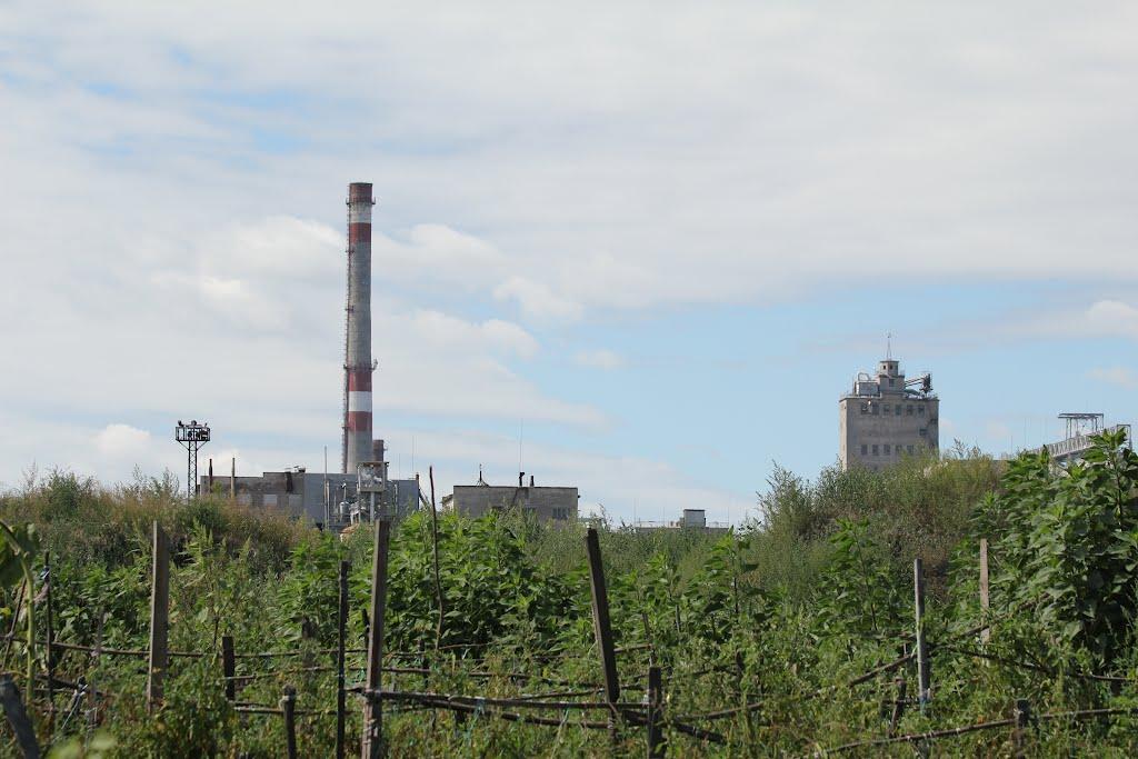 Дніпровське з panoramio.com - Дніпровське