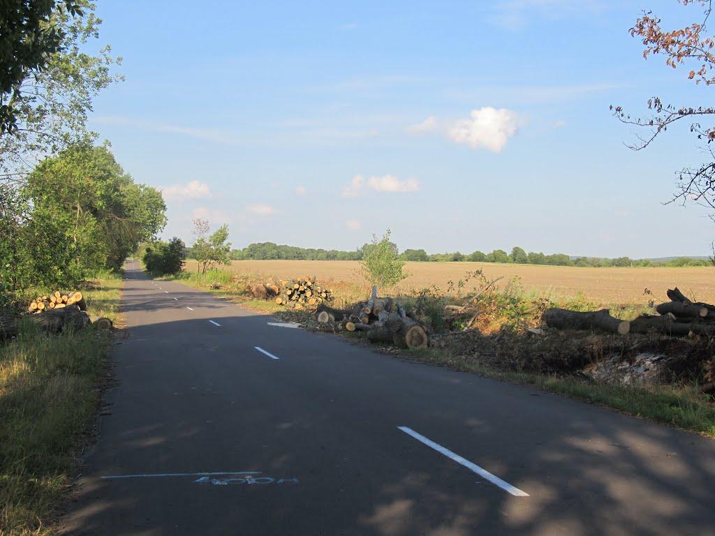 Клопіт з panoramio.com - Клопіт