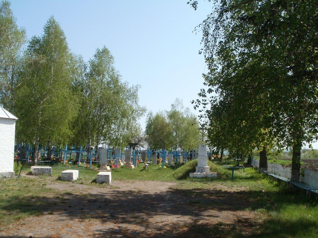 Четвертинівка з panoramio.com - Четвертинівка