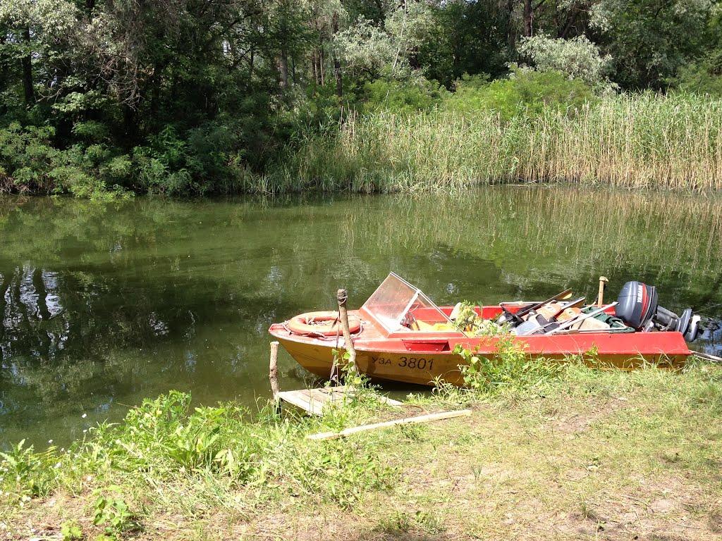 Канівське з panoramio.com - Каневское