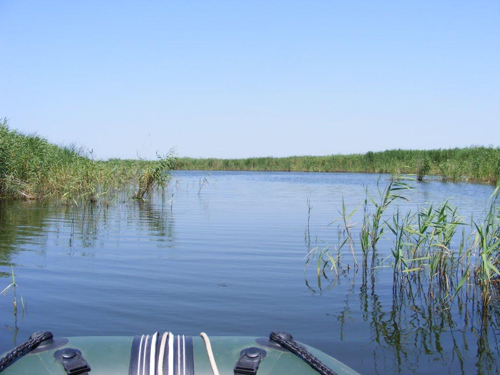 Забарине з panoramio.com - Забарино