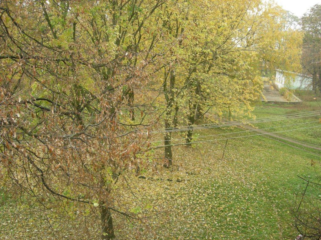 Дослідницьке з panoramio.com - Дослідницьке