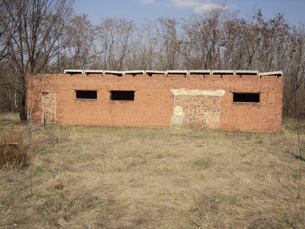 Осоївка з panoramio.com - Осоевка