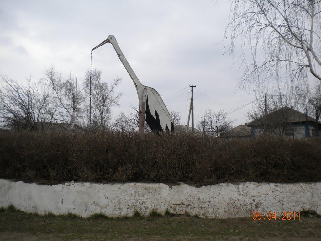 Кам'яне з panoramio.com - Каменное