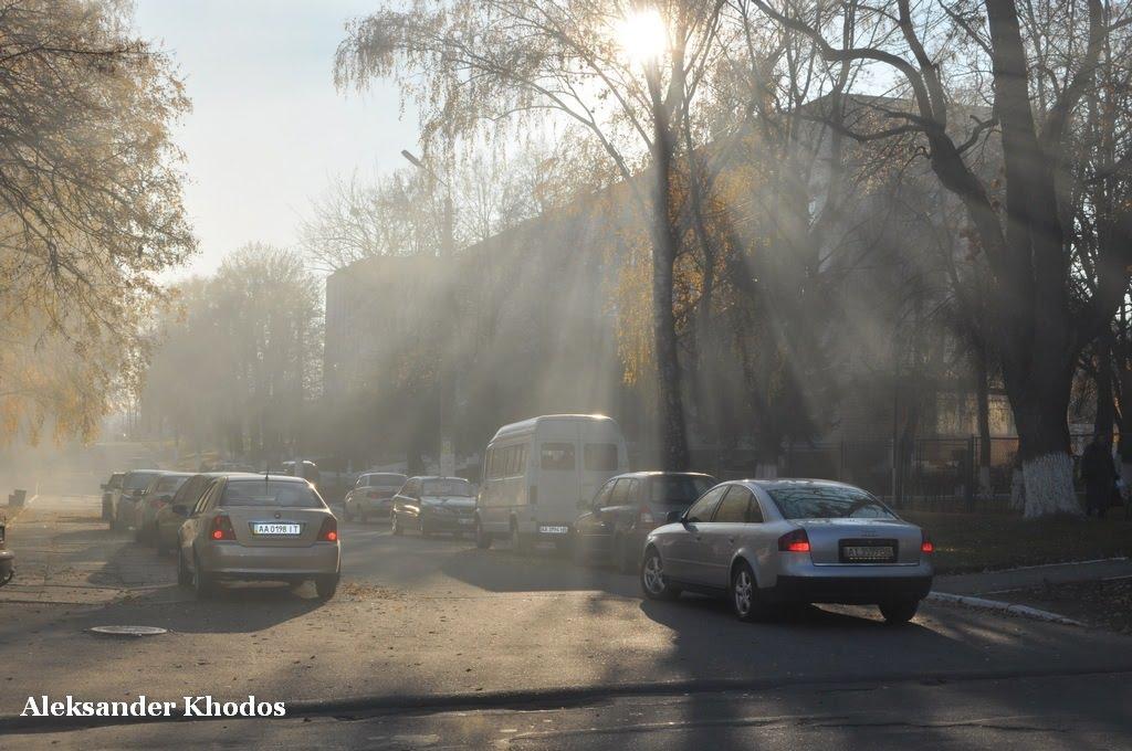 Тараща з panoramio.com - Тараща