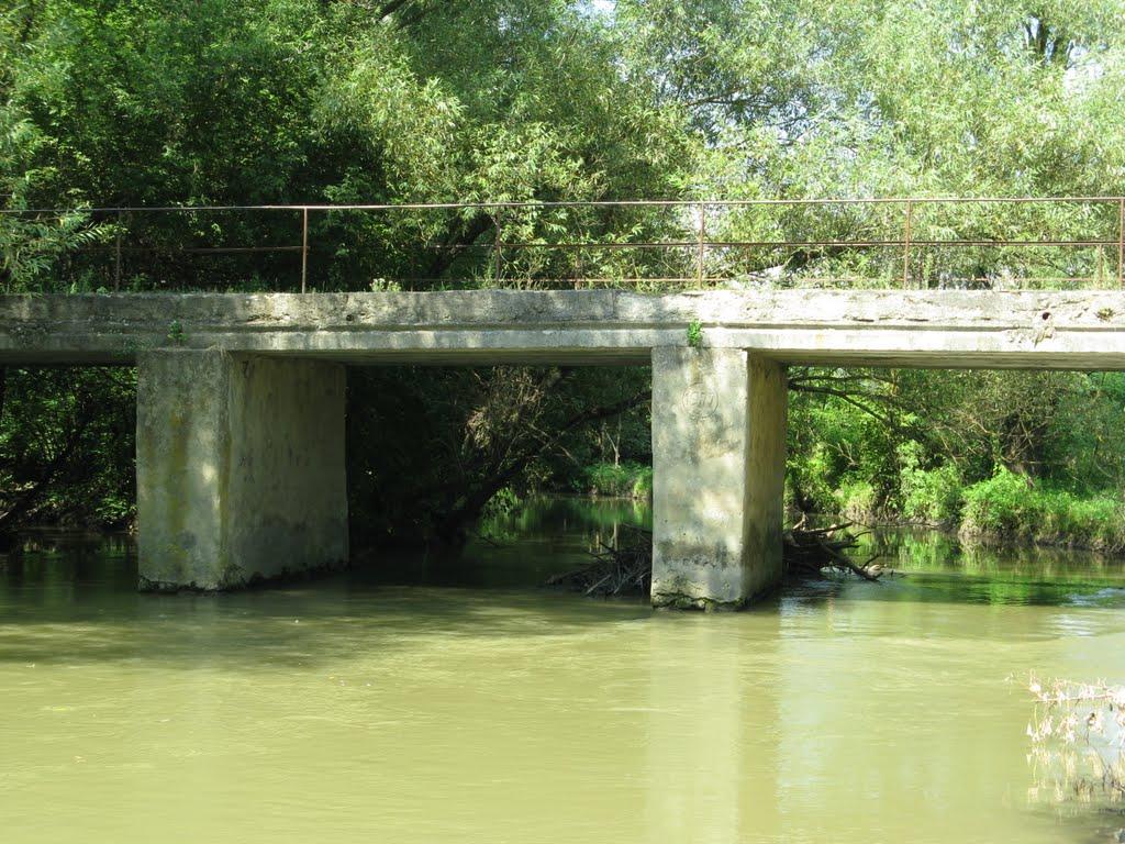 Миньківці з panoramio.com - Mynkivtsi