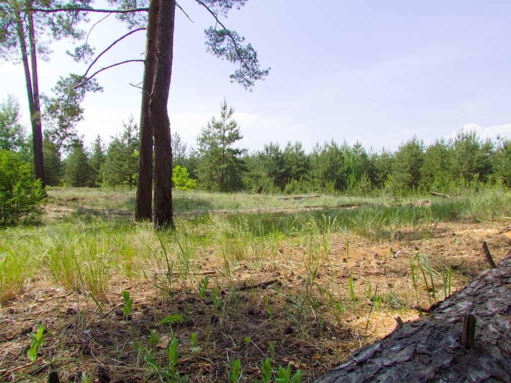 Есхар з panoramio.com - Эсхар
