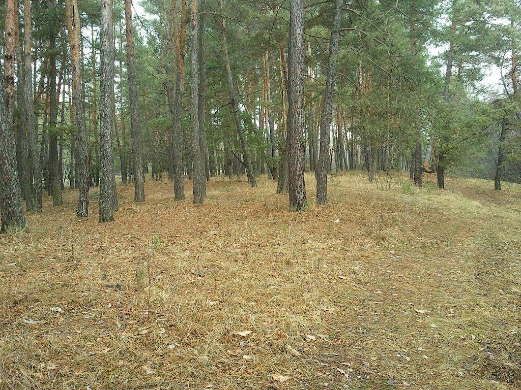 Тросне з panoramio.com - Тростное