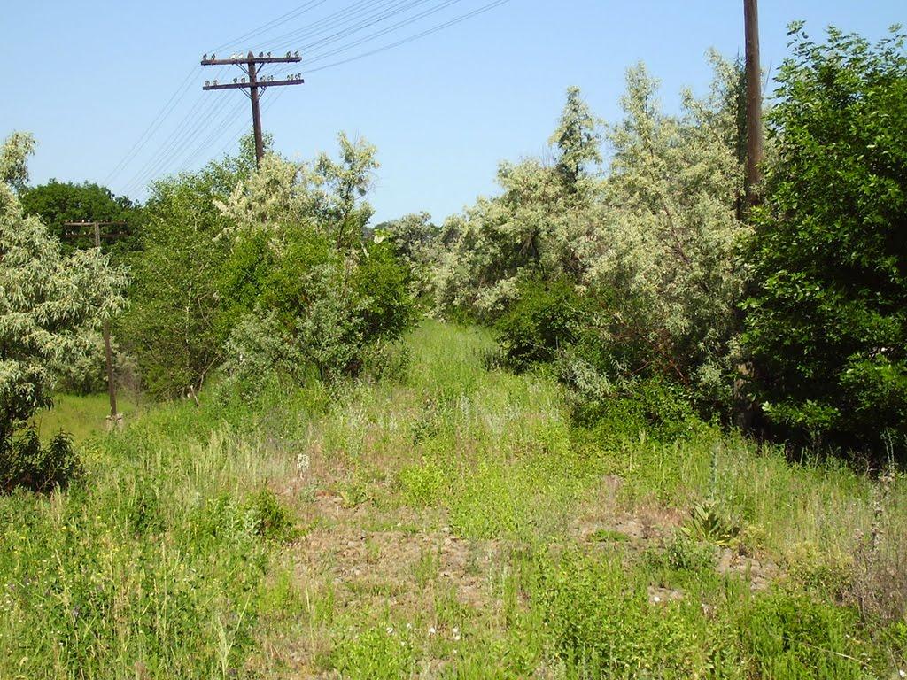 Голубівське з panoramio.com - Голубівське