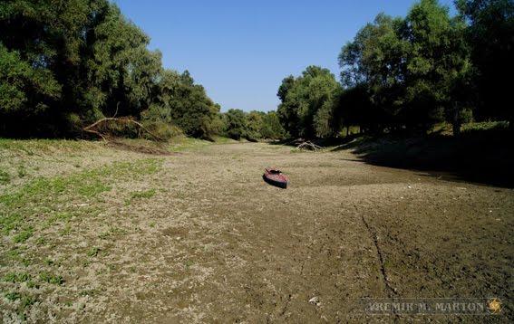 Дунайське з panoramio.com (ч.2) - Дунайское