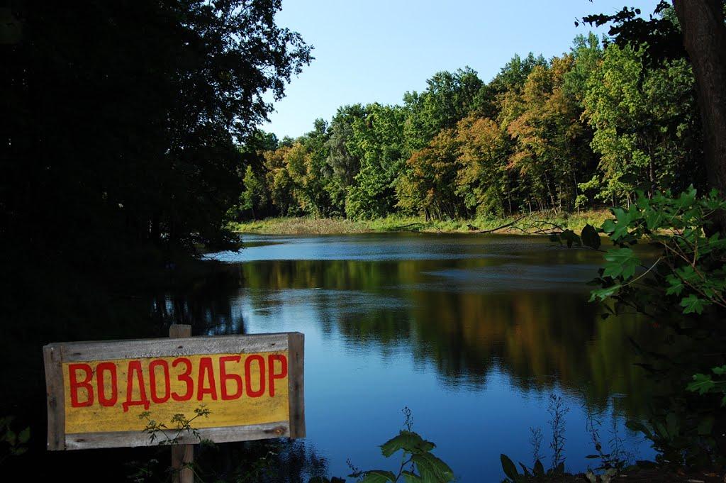 Суха Гомільша з panoramio.com - Сухая Гомольша