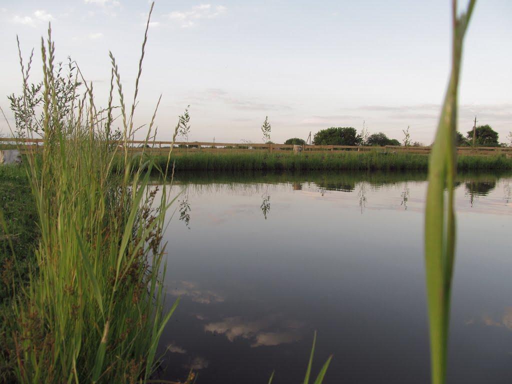 Валуйське з panoramio.com - Валуйское