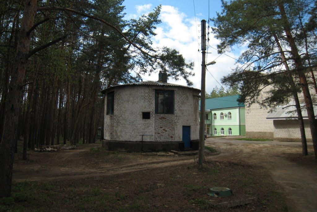 Новопсков з panoramio.com - Новопсков