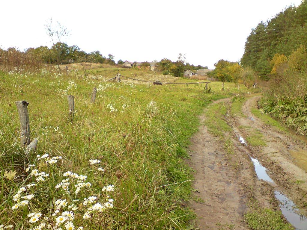 Дуляби з panoramio.com - Дулябы