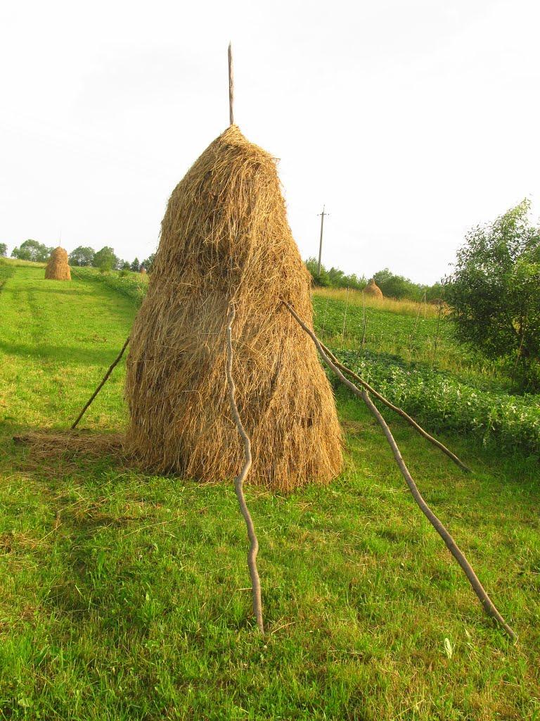 Солотвин з panoramio.com - Солотвин